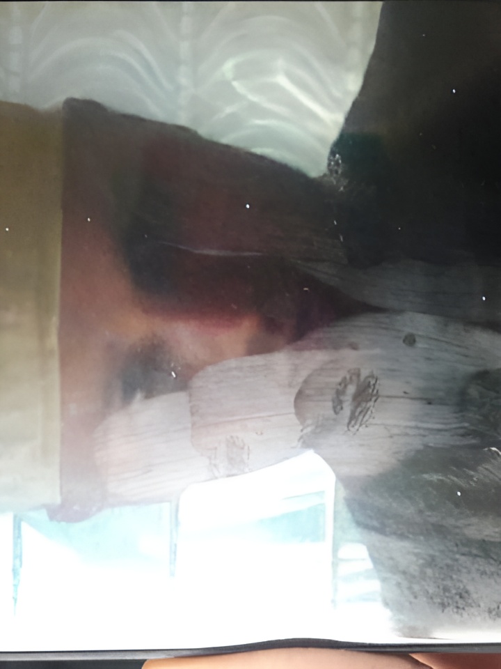 Тамара привлекальеная девушка из Зея цена от 3000 руб