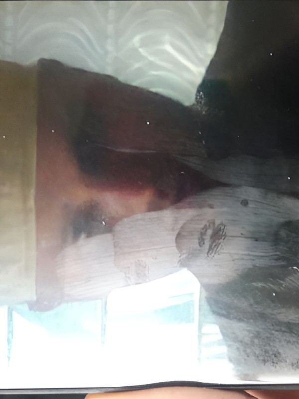 Тамара привлекательная девушка из Зея цена от 3000 руб